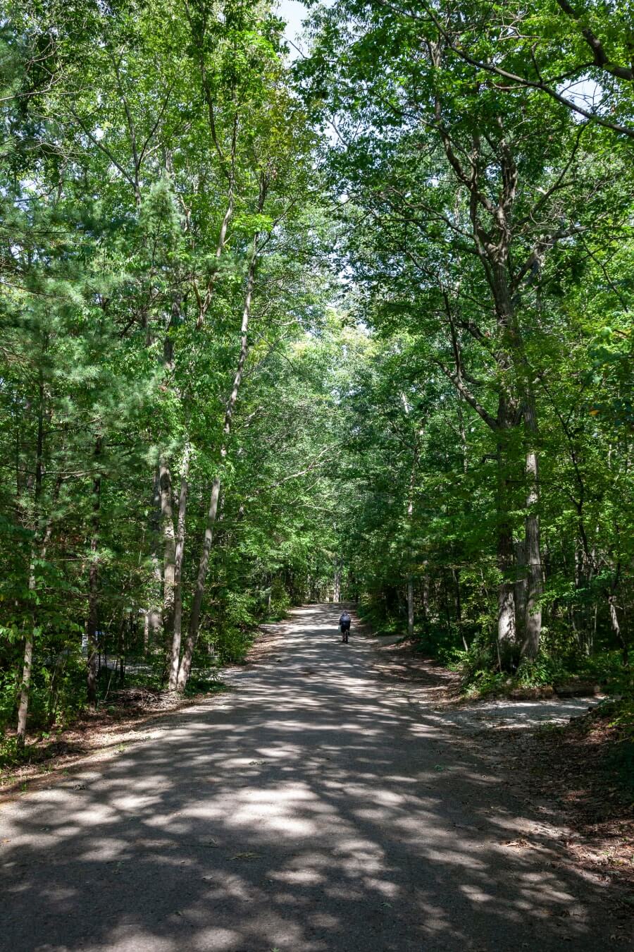 Streets of Southcott Pines