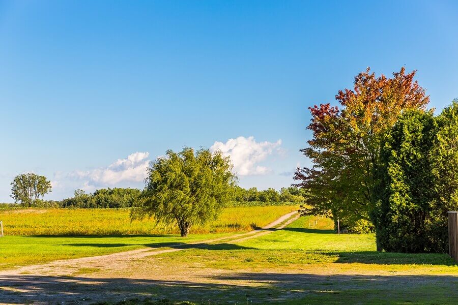 Expansive Property