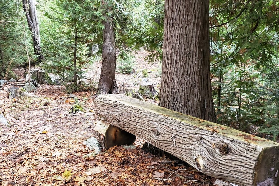 Log bench