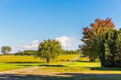 Somerset Property